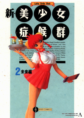 Shin Bishoujo Shoukougun 2 Mirai hen cover