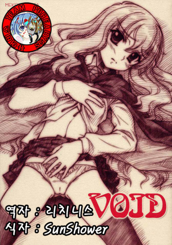 VOID cover