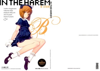 IN THE HAREM B SIDE cover