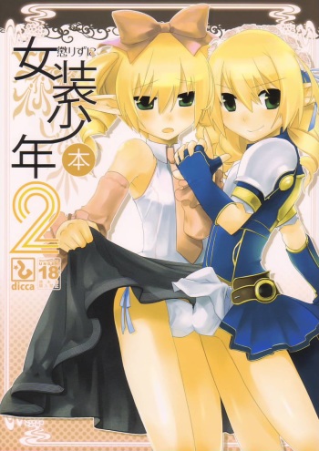 Korizu ni Josou Shounen Hon 2 cover