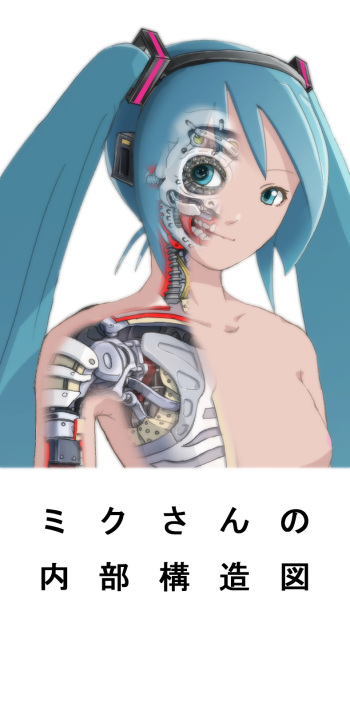 Internal structure of Miku's cover