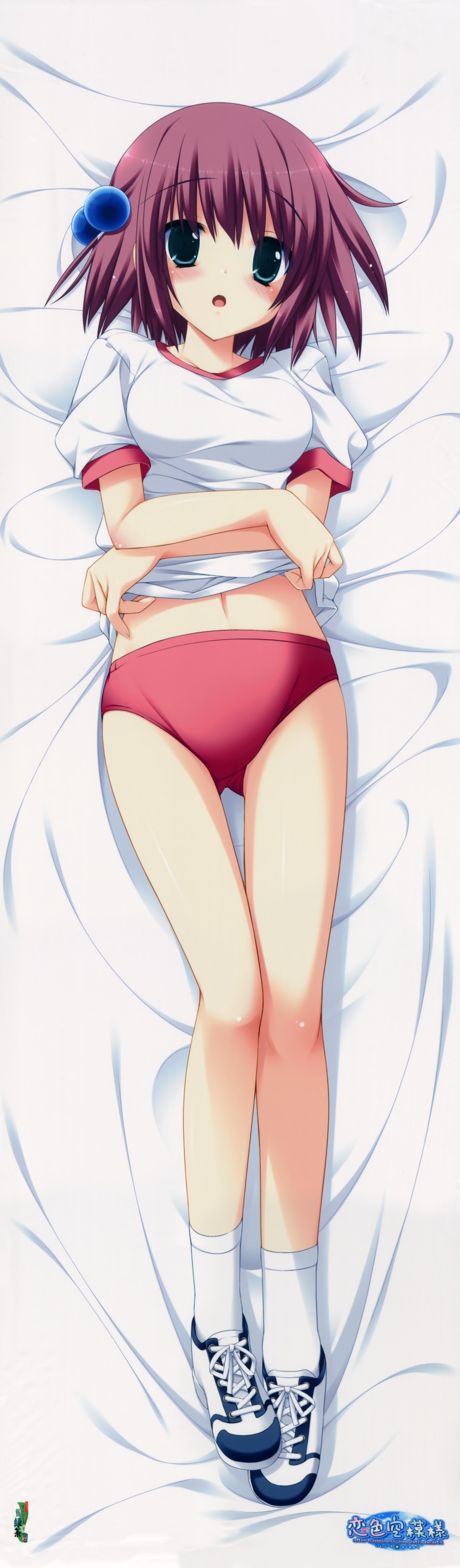 My Dakimakura Collection Set 01 page 9 full