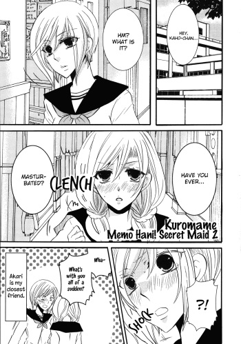 Memo Hani! Secret Maid 2 cover