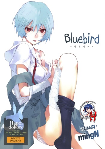 Bluebird cover