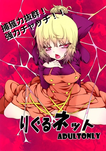 Wriggle Net cover
