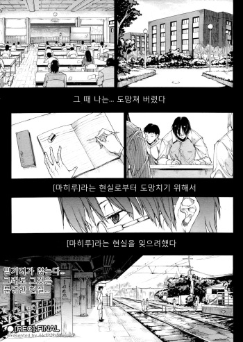 ●:FINAL cover