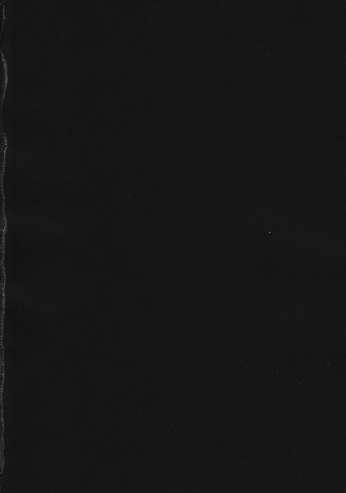 SEXY PANIC ~Neko to Saru no Love Fight page 3 full