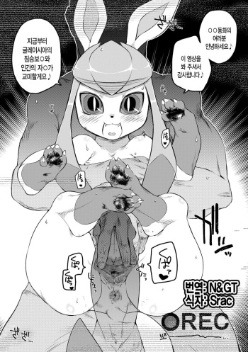 Pokemon Daisuki Club Kaiin Gentei Douga cover