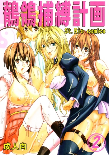 Sekirei Hobaku Keikaku 2 cover
