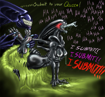 quintonquill -artist- cover