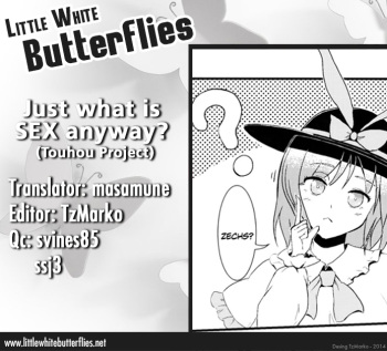 Just What Is Sex Anyway?   =Little White Butterflies= cover