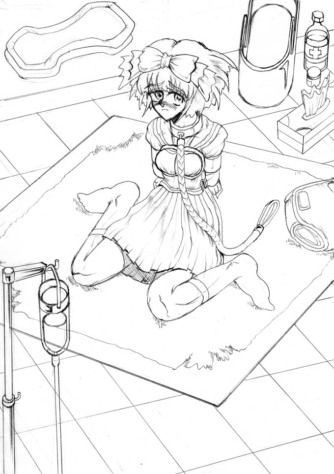 WaffenSS Vol 9 page 4 full
