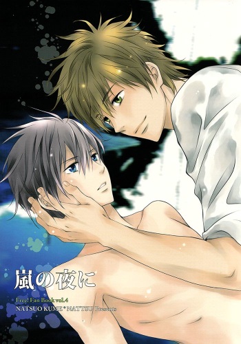 Arashi no Yoru ni | In a stormy night cover