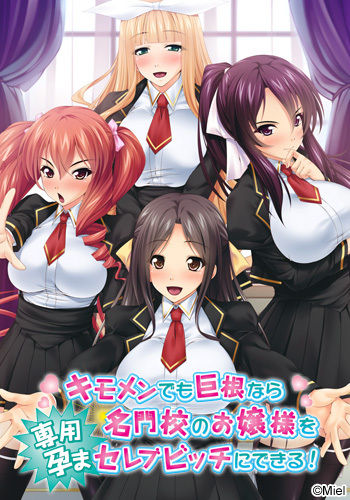 Kimomen Demo Kyokon nara Meimonkou no Ojou-sama wo Senyou Harama Celeb Bitch ni Dekiru! page 1 full