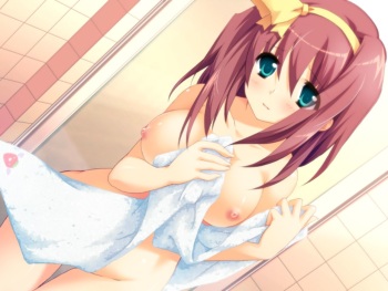 bath cover