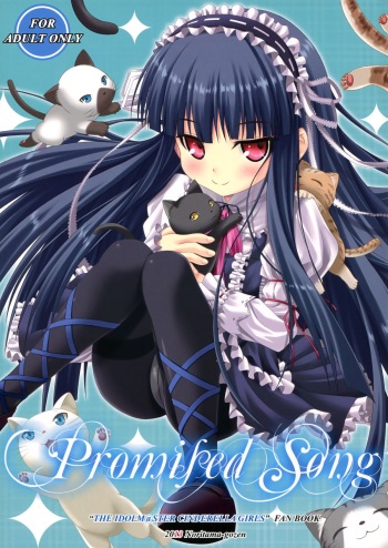 Promised Song cover