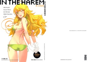 IN THE HAREM A SIDE cover