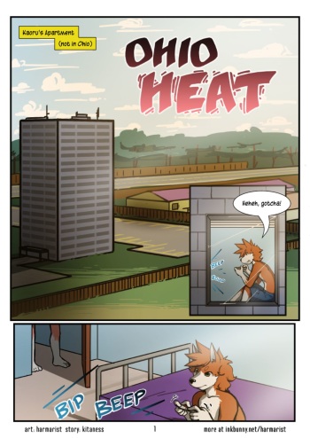 Ohio Heat cover