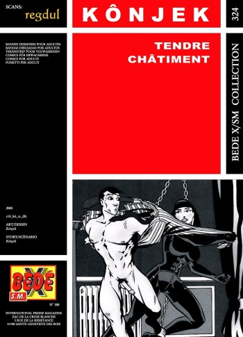 Tendre châtiment cover