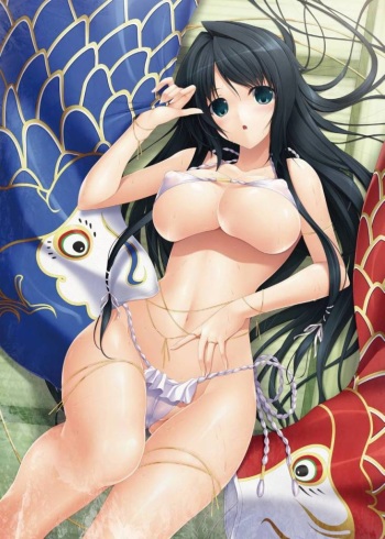 a loincloth cover
