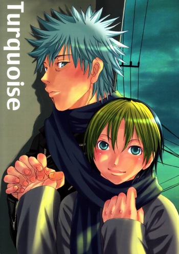 Terquoiz cover