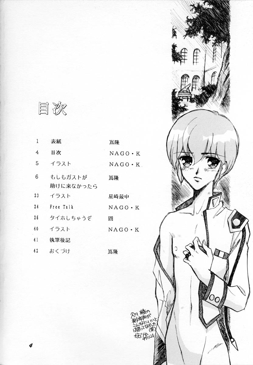 HOHETO 16 page 3 full