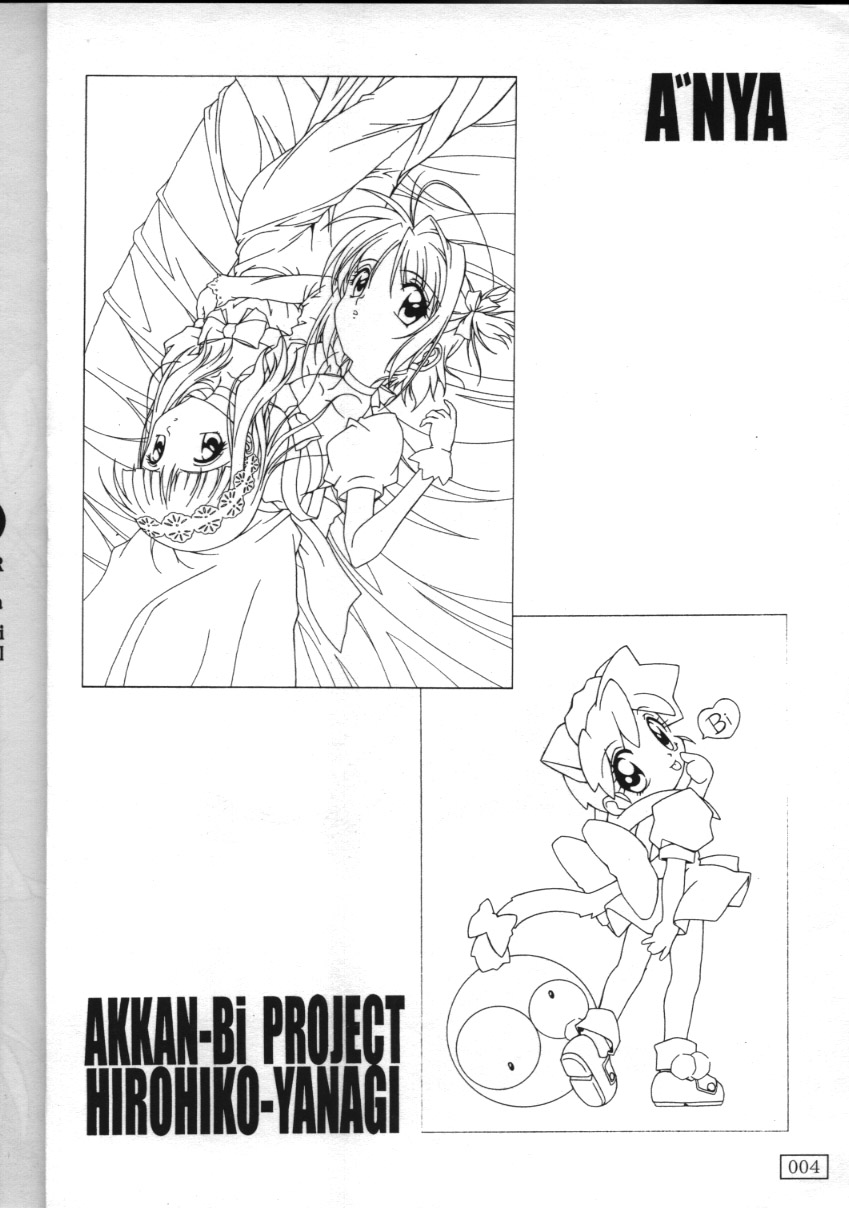 A"NYA page 3 full