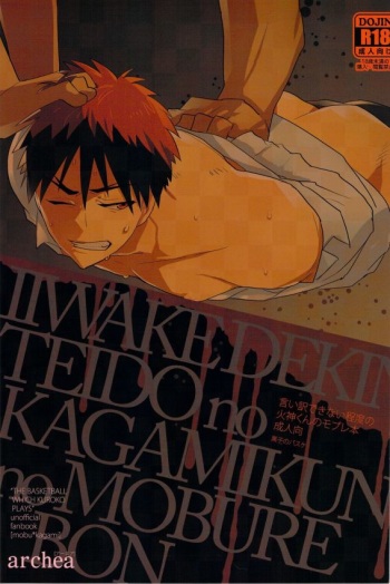 Iiwakedekinai Teido no Kagamikun no Mobure Bon cover
