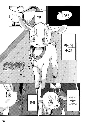 Koyagi! cover