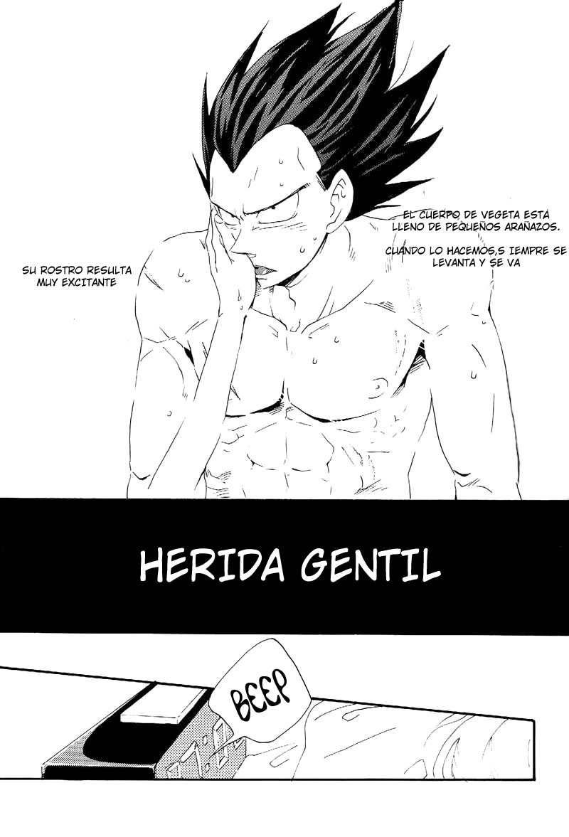 Gentle Wound  LKNOFansub page 3 full