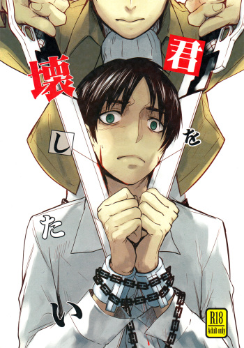 Kimi o Kowashi Tai cover