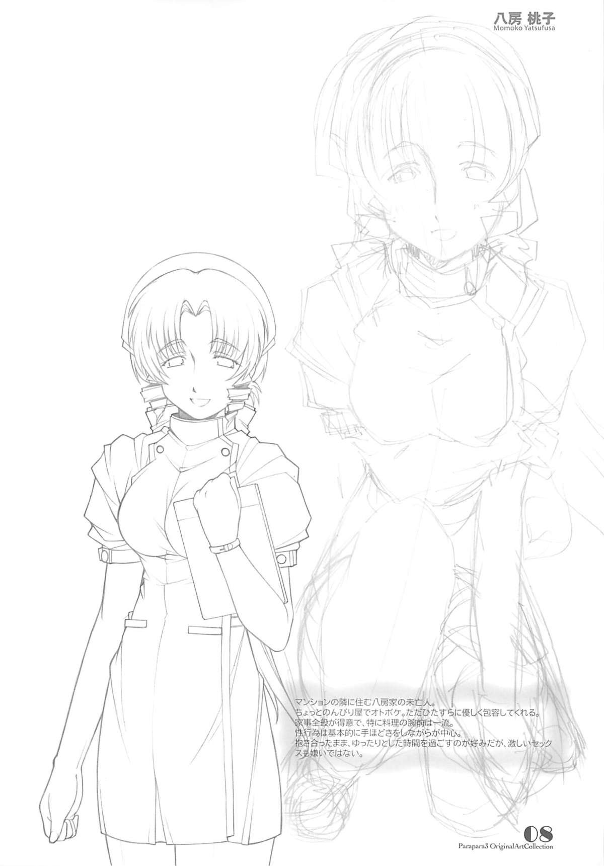 PARA PARA 3 MARUARAI OFFICIAL ART COLLECTION page 7 full