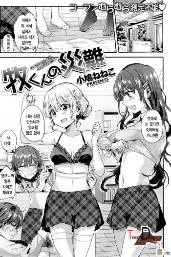 Maki-kun no Sainan cover
