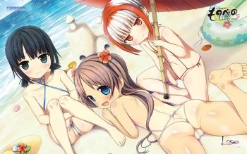Galgame Wallpaper cover