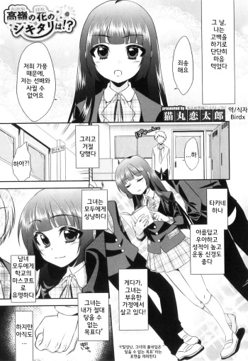 Takane no Hana no Shikitari wa!? cover