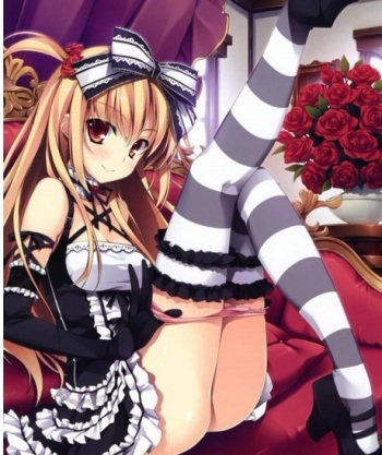 PIC cover