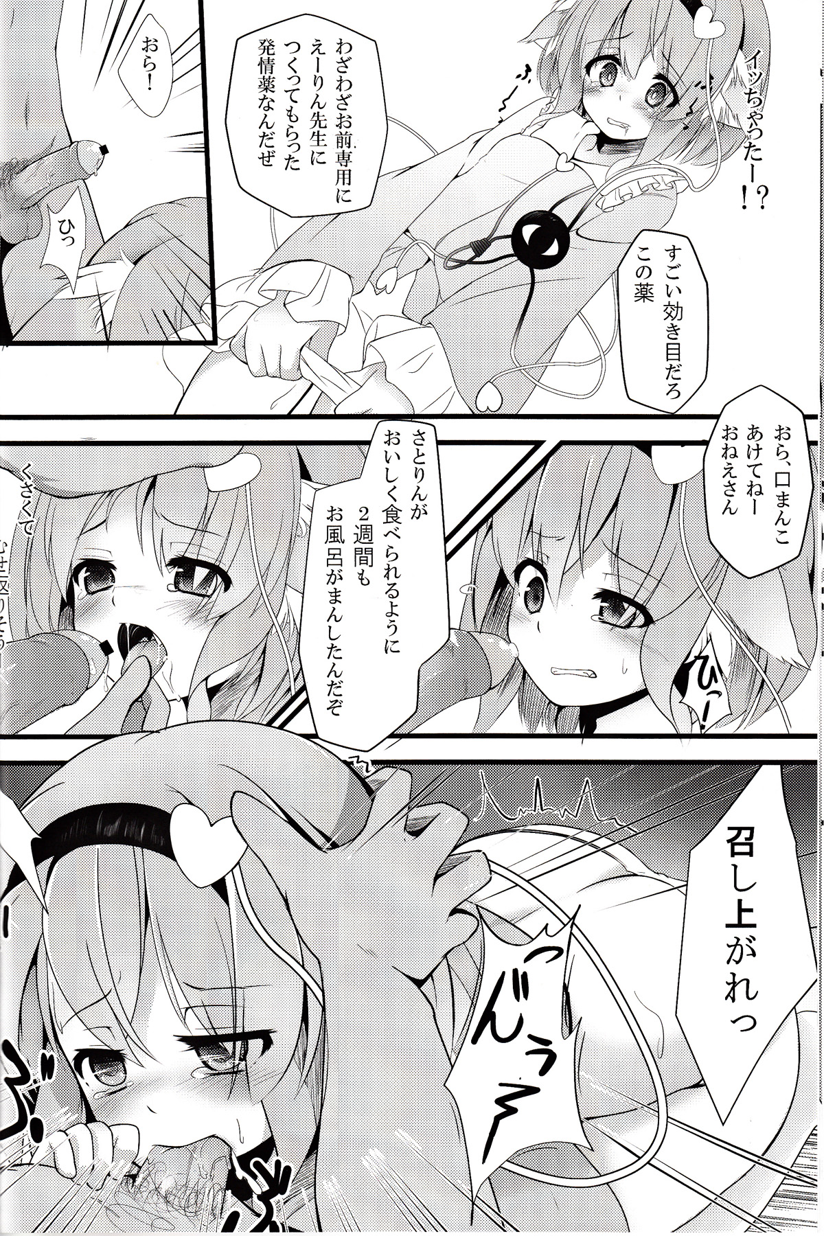 Touhou Doubutsu-dono page 9 full