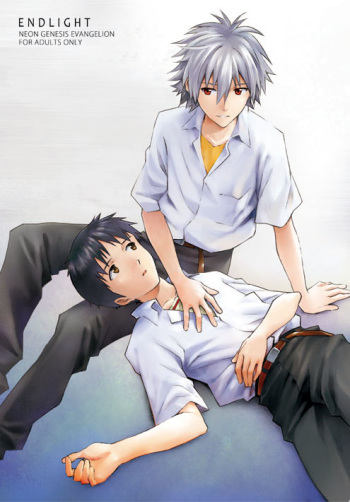 ENDLIGHT cover