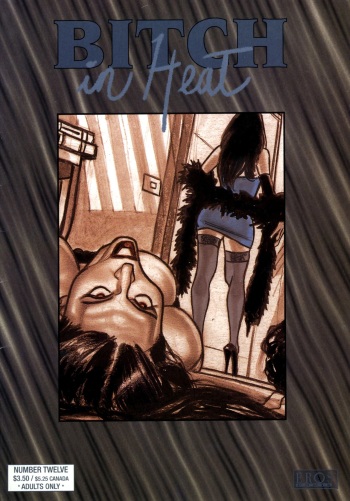 Bitch In Heat #12 cover