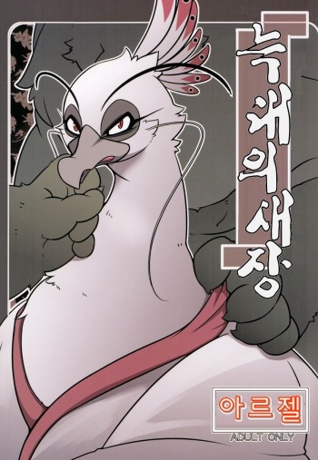 Rougun no Tori cover