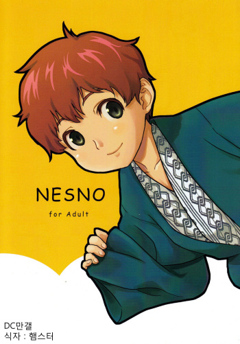 NESNO cover