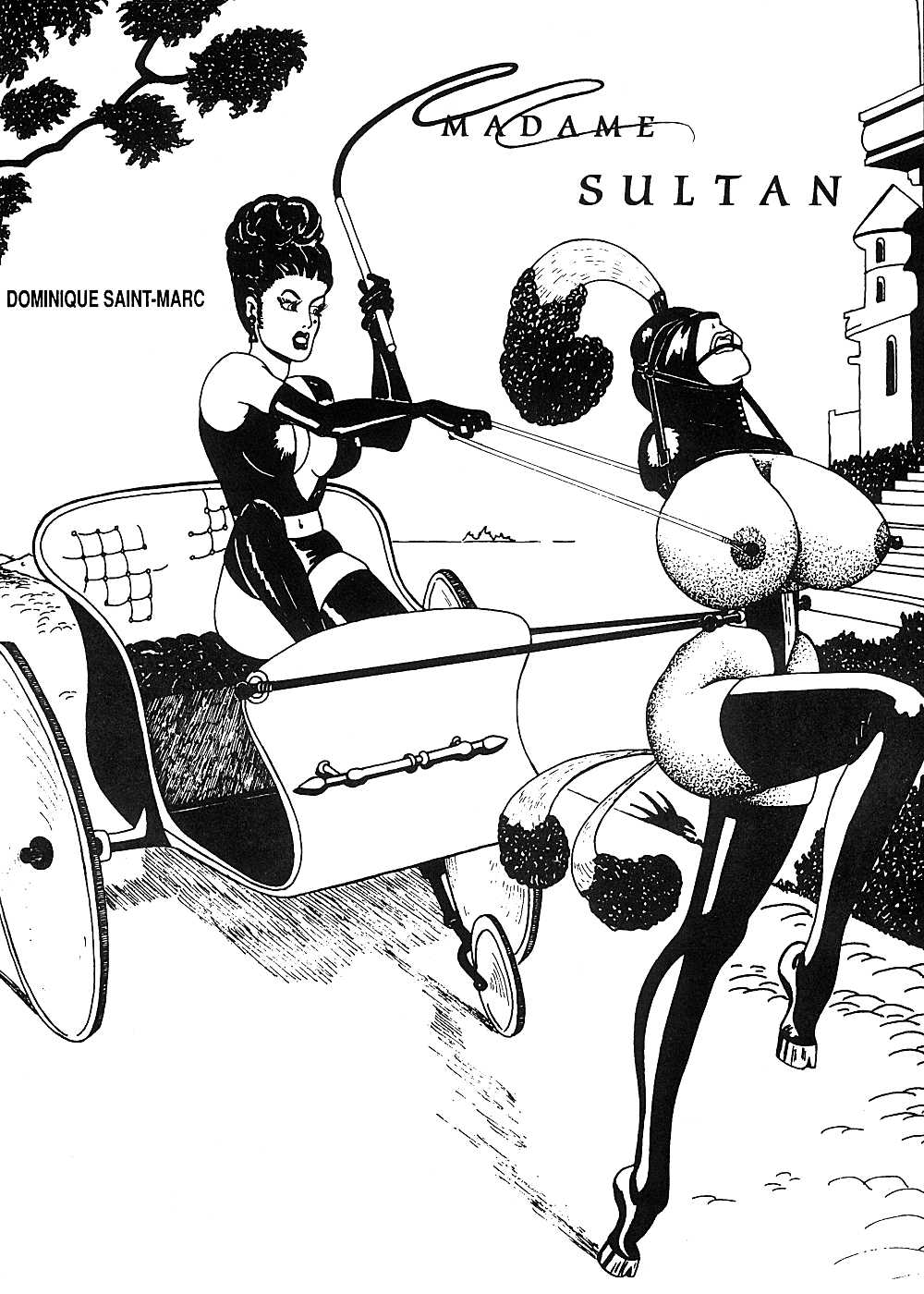Madame Sultan page 1 full