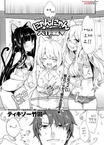 Nyan Nyan Dai Sakusen cover