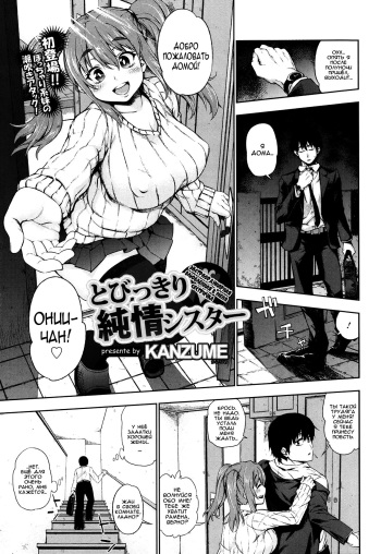 Tobikkiri Junjou Sister cover