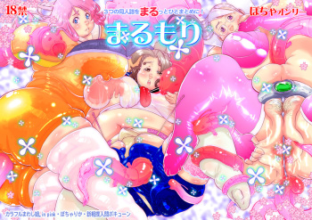 Marumori cover