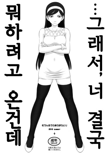 …de, Anta Kekkyoku Nani Shini Kita no yo cover