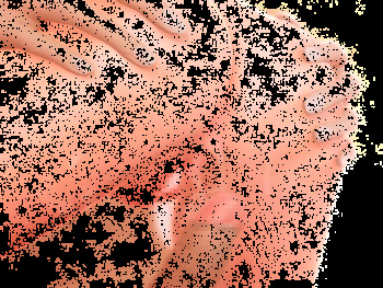 GIF Pack cover