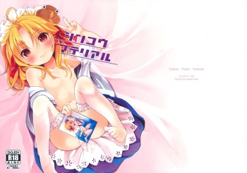Shinkou Material cover