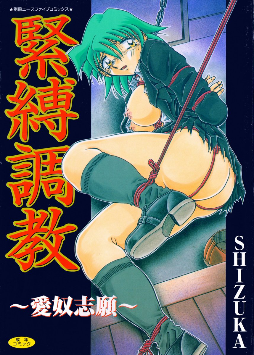 Kinbaku Choukyou ~Aido Shigan~ page 2 full