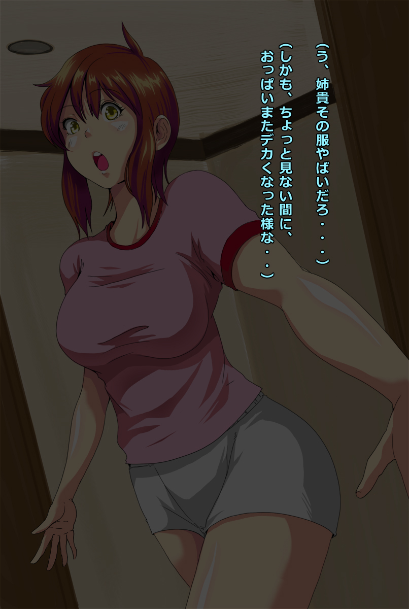 Aneki to Sugosu Natsuyasumi page 7 full